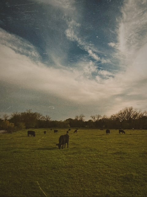 Image-1.jpg